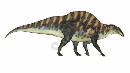 自然白垩纪禽龙我们的恐在白色背景中与世隔绝3D变成我们的恐龙3D背景图片