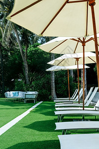 花园热带度假胜地游泳池的ChaiseLongue照片座位休息室图片