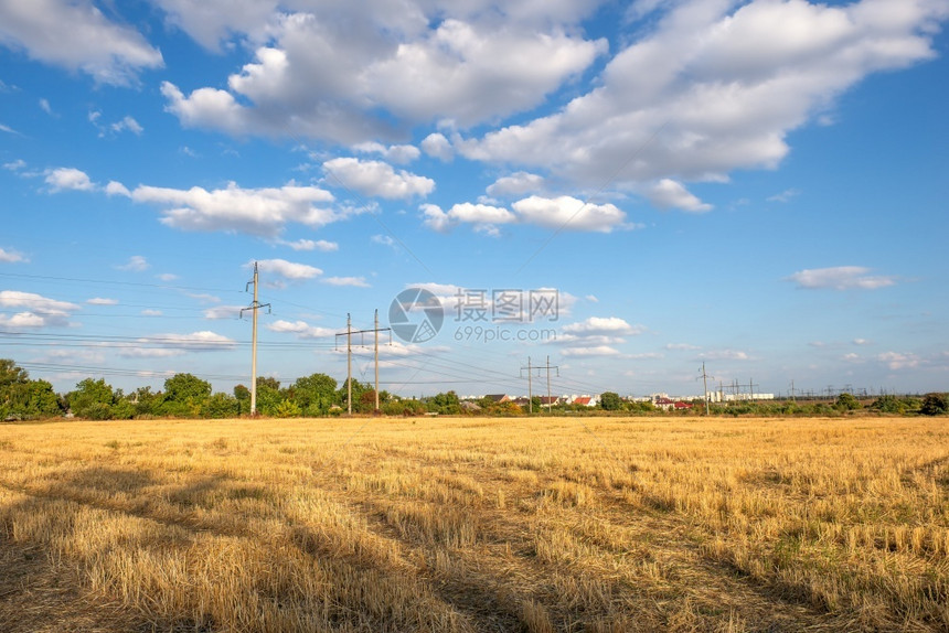 电缆技术农村割麦田的电线杆间天空图片