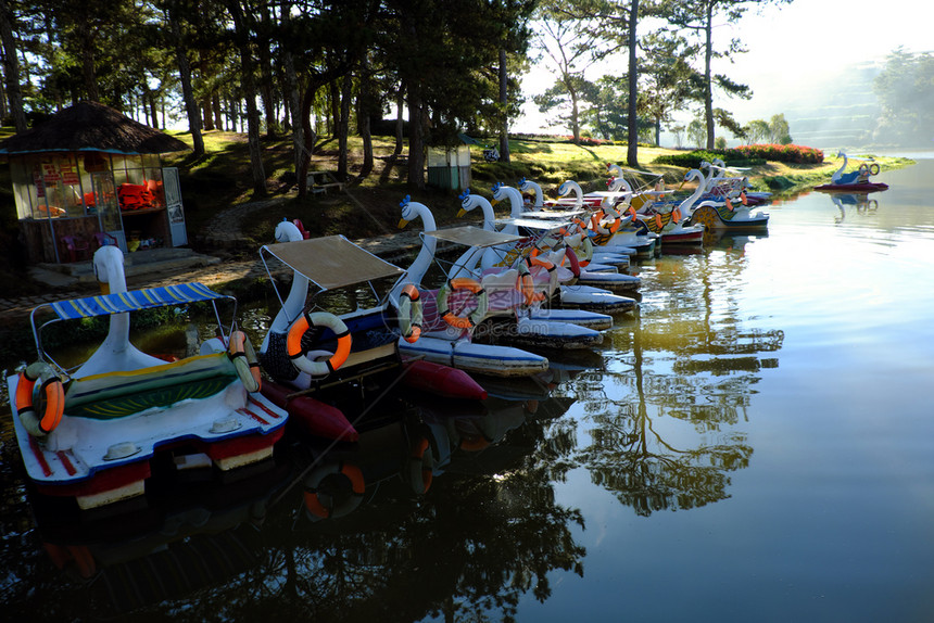 大叻一群鸭子船汽车运输和放松旅游用水对ThanThho湖地表水进行反省该湖是越南DaLat市的目地之一位于松林中的湖泊绿色救生圈图片