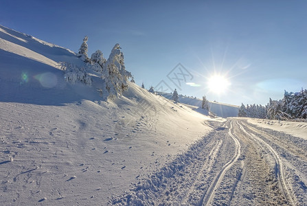 树木白色的自然太阳雪和汽车在山冬季的公路上行走冬季乘车旅行的概念图片