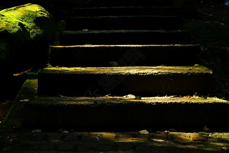 爬坡道有绿苔和阳光的石头步骤公园苔藓图片