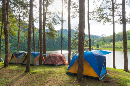 营地睡觉在草上扎营帐篷在公园区周末假期图片