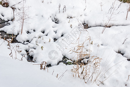 结晶的白雪皑春天冷小溪中的流水图片