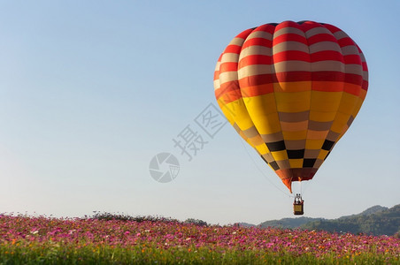 蓝色天空中的美丽多彩气球在泰国清莱的气球节上多彩千景观公园场地图片