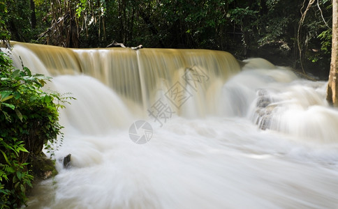 水景木头泰国热带雨林瀑泰国岩石图片
