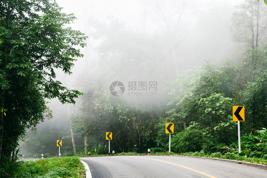 户外与自然林和雾雨相交的公路小澳大利亚图片