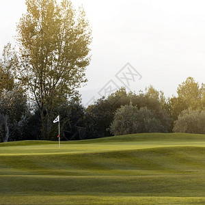 感统课程使用草旗查看前方高尔夫场越野车感的地背景