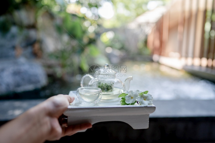 锅握着托盘的手为透明茶壶提供了的茶壶和草药放松喝图片