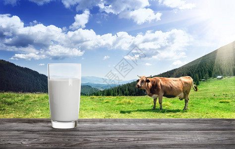 食物天然品和产的概念奶粉和牛的山地牧草玻璃与奶牛并肩作战奶和制品与牛的山地牧场有机优质图片