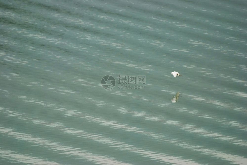 游客白埃布雷特飞过大湖奢华生活图片