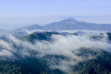 美丽晨雾山景丛林天空图片