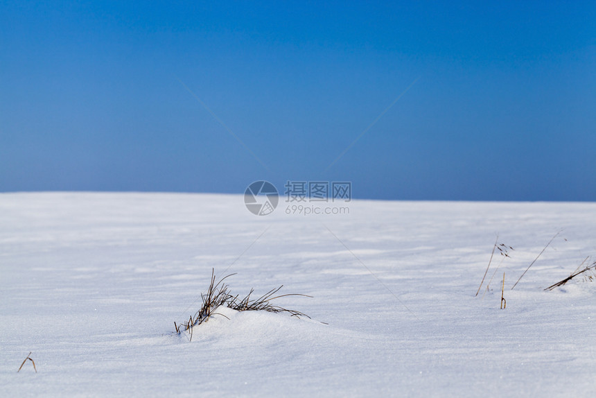 山雪降后田地上覆满雪干草又高没有雪的干草与蓝天相对在冬季积雪流时漂浮出来新鲜的不是下雪图片