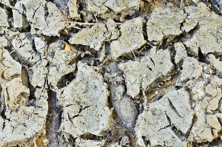 肮脏的泥土热自然环境图片