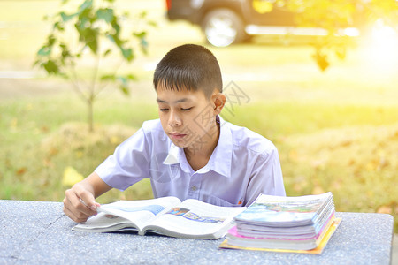 户外学习的男孩图片