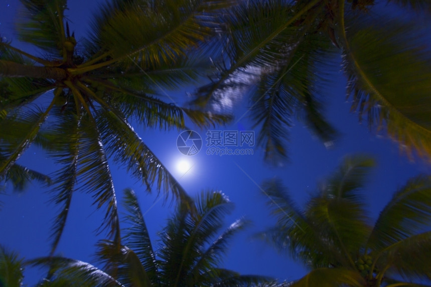 户外加勒比海滩日落的景象加勒比海滩日落之景温暖的树图片
