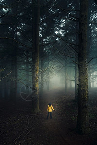 年轻的女旅行者在一个雾的清晨在森林中行走徒步旅远足假期高清图片素材