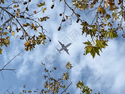 航空公司喷气客机中飞在森林上空行下视线大气层图片