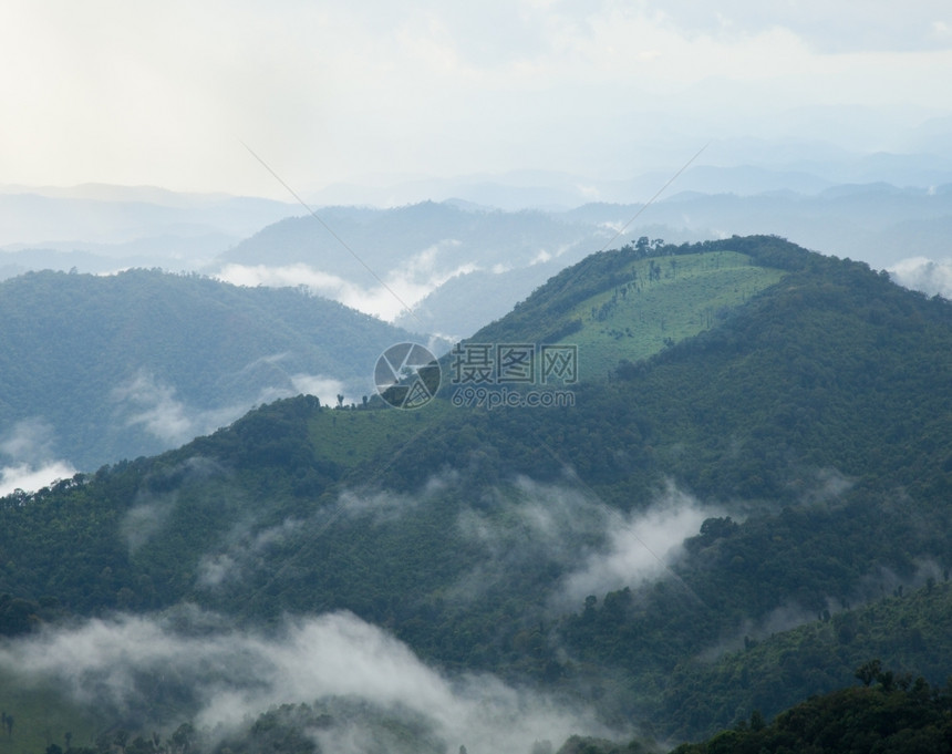 山地复合岩雾覆盖了山坡和林地清晨夜凉爽草地多雾路段木头图片