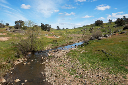 美丽靠近场景澳大利亚新南威尔士州橄榄球附近青溪景观高清图片素材