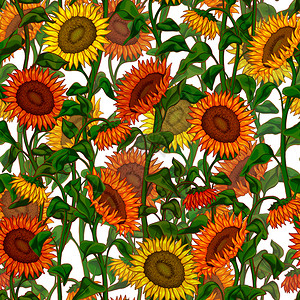 飞檐画壁丰富多彩的时尚绘画美向日葵用于织物设计包装纸剪贴布壁等用途的彩色花岗背景和美丽的向日葵设计图片