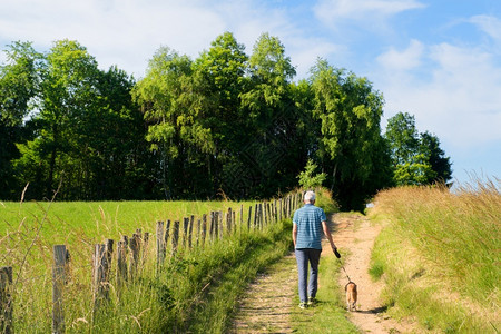 男人在法国新华利州绿山的风景中走着狗行观土地夏天图片