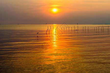风景美丽的自然观明亮的黄太阳反映海面水的橙色光和天空金泰国热带海岸山木普拉干邦布热带海岸的多彩日落泰国热带海岸的青春日落颜色斑丽背景图片