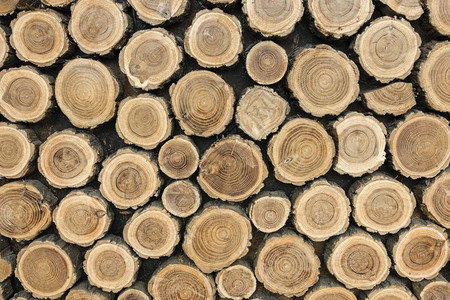 名贵木材 分辨率春天瑞典高清图片