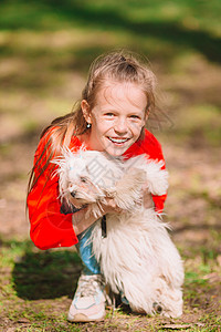 快乐的小笑女孩在公园里和小狗户外玩得开心小女孩与白狗一只在个女孩的手里微笑国内的高清图片素材