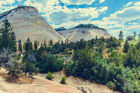 水美国犹他州锡安家公园沙漠砂岩图片