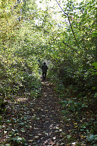 景观到秋初天人行走在一条漫步的路上青草茂密环境绿色图片