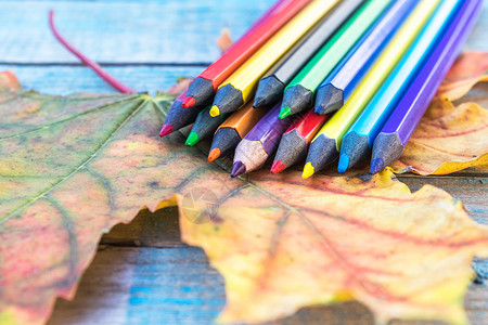 彩色铅笔和秋季落叶图片