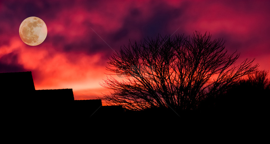 丰富多彩的树血红云和月亮在黑暗圣殿背景中的村庄阴暗深夜多云的城市景观图片