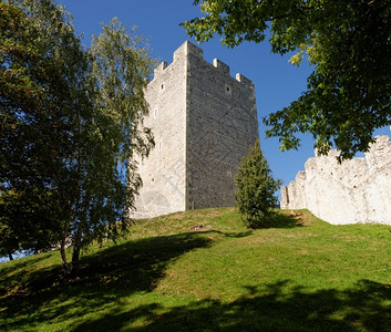 绿色漏洞维持斯洛文尼亚Celje中世纪城堡塔木制的图片