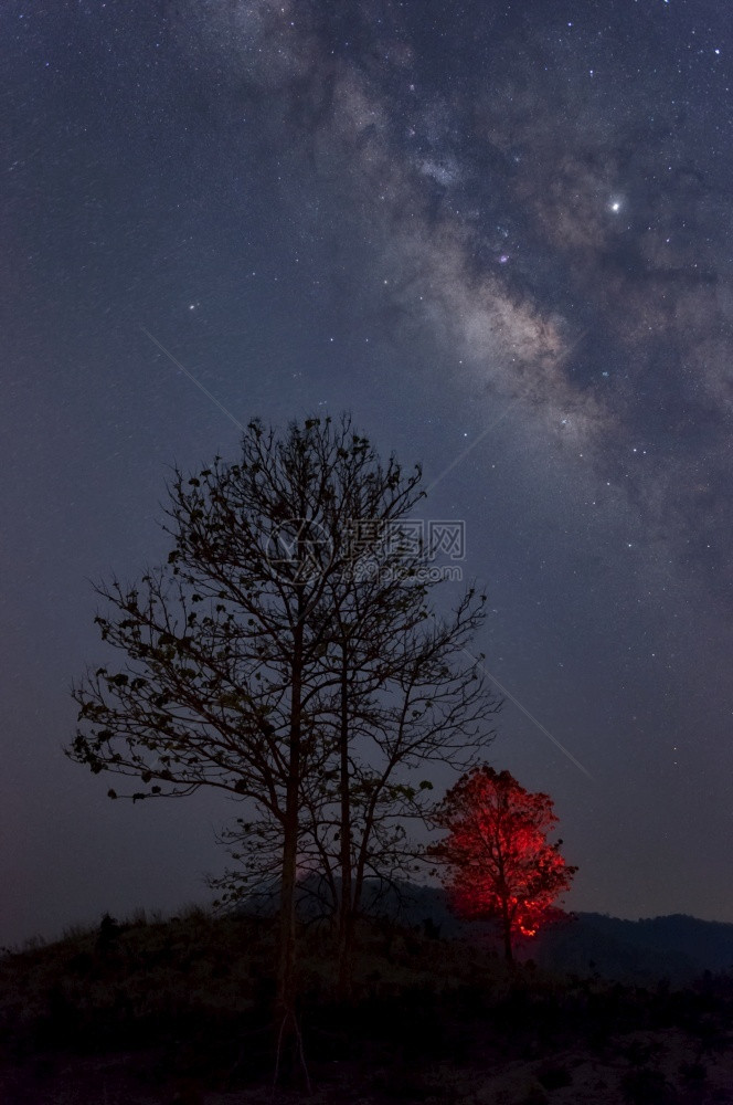 旅行星系银河和宇宙中的太空灰尘在红树上长速乳白色红的图片