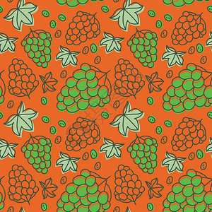 绿葡萄插图向量夏天手画新鲜的白莓多彩矢量素描背景彩色面条壁纸绿和橙印刷品设计图片
