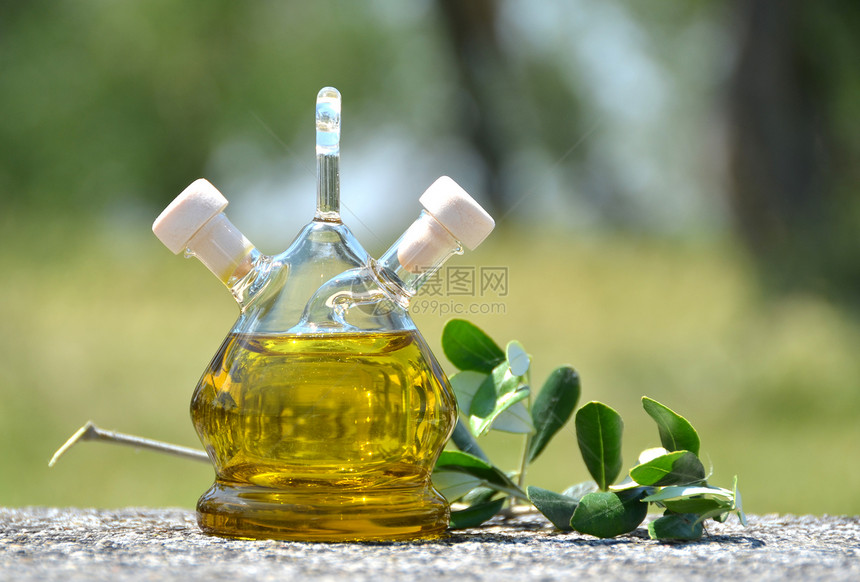绿色晴天场地意大利Sirmione橄榄林中一瓶油图片