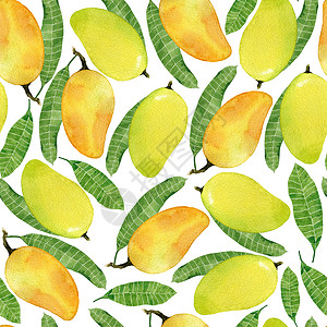 水彩芒果水彩热带无缝图案与黄色芒果实和叶子手绘插图在白色背景越南水果上分离彩无缝图案与黄色芒果实和叶子越南语猫白色的插画