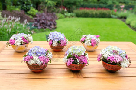 在花园户外的茶桌上花朵开的鲜香植物红色的图片