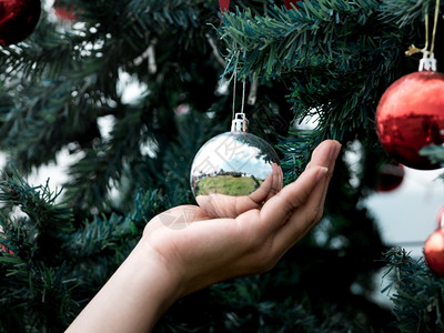 手握圣诞小玩意树枝上的球特写新年快乐节日背景圣诞快乐冬天保持明亮的图片