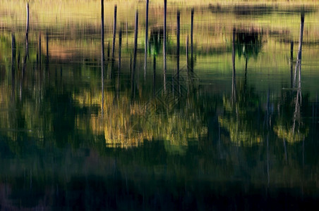 湖边水中的倒影图片