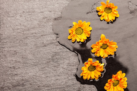 抽象的雏菊地板上黄色花朵的照片自然图片