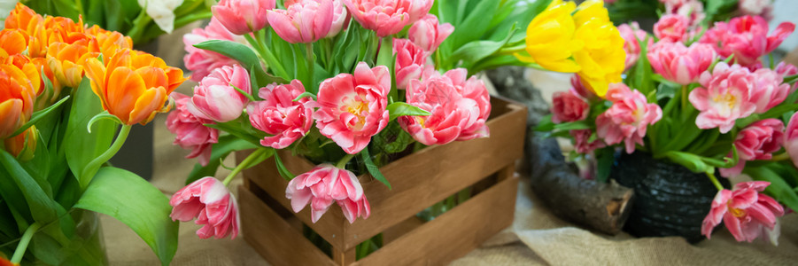 盛满多彩的郁金香花束哈罗春天和女人节的概念嗨春与女人节新鲜的植物投标图片