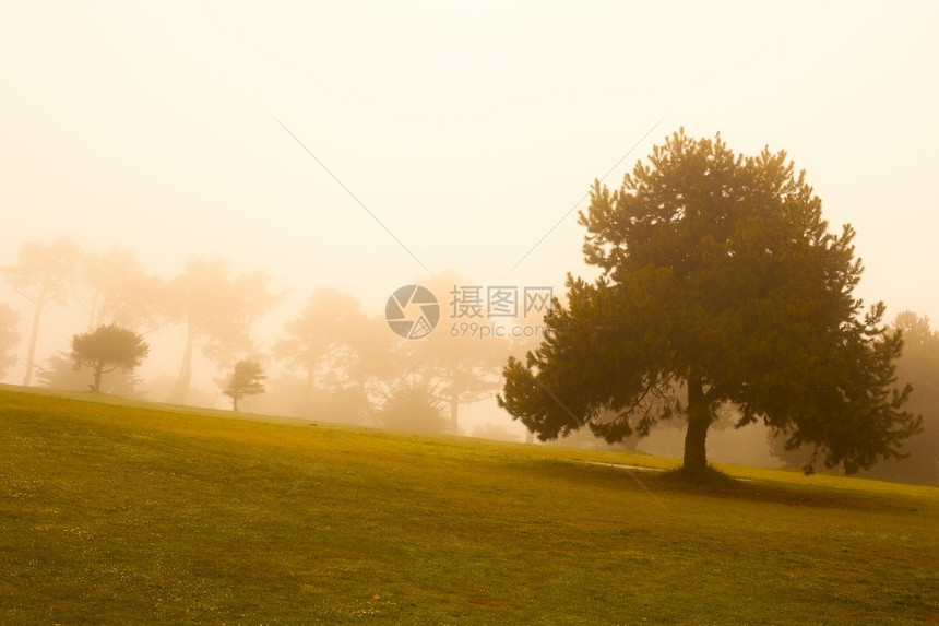 半岛美国加利福尼亚州旧金山普雷斯迪奥街坊雾场景桑图片