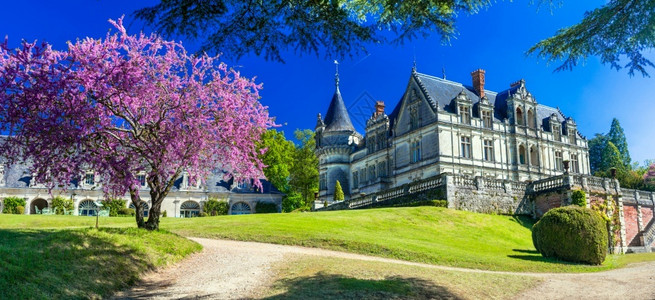 如画优雅的旅游Bourdaisire城堡卢瓦尔山谷的魔法城堡图片
