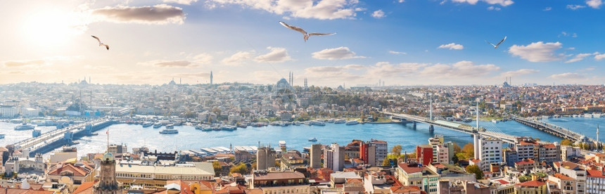 著名的马尔拉城市景观伊斯坦布尔全景桥梁和金角湾天际线景观伊斯坦布尔全景天际线观图片