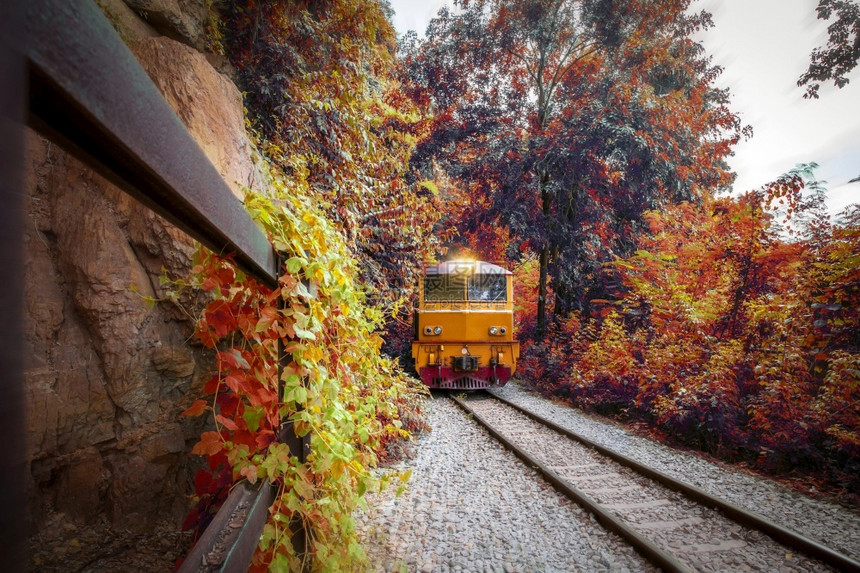在山上弯曲移动的柴油电火车列乘载有美丽的秋季森林风景铁路直升机航行运输柴油地铁斩波器图片