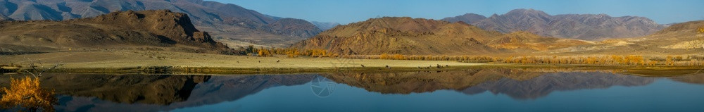 岭林地国民阿尔泰山湖风景全一年中的时间是秋天阿尔泰山湖景观高清图片素材