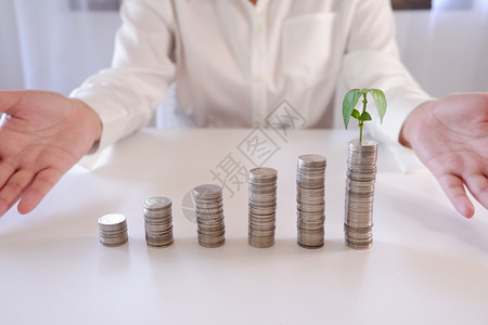 用于金融和银行业务概念的硬币堆叠种植厂预算钱现金图片