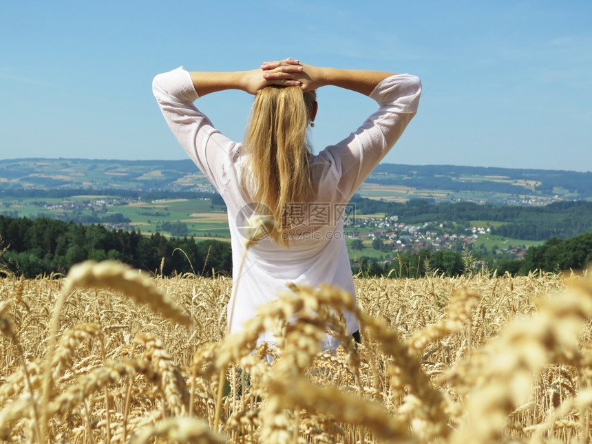 女孩在瑞士小麦田中玉米乡村的之图片